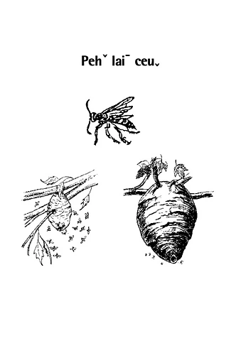 Variety of Bee
