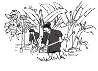 အလုပ်ကြိုးစားသောသူ တစ်ဦးဖြစ်လာပြီ